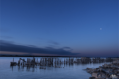 Prescott Pilings