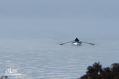 Rowboat Fog