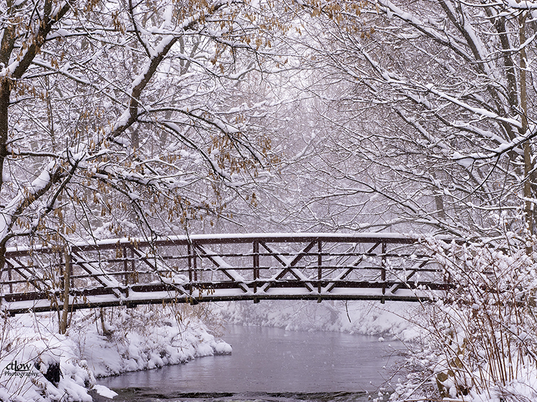 Brock Trail bridge snowy trees