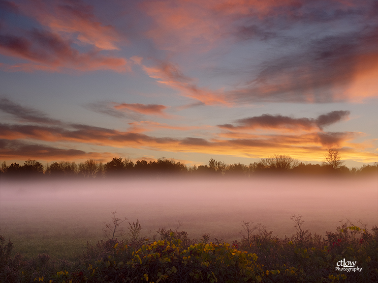 farm field dawn fog