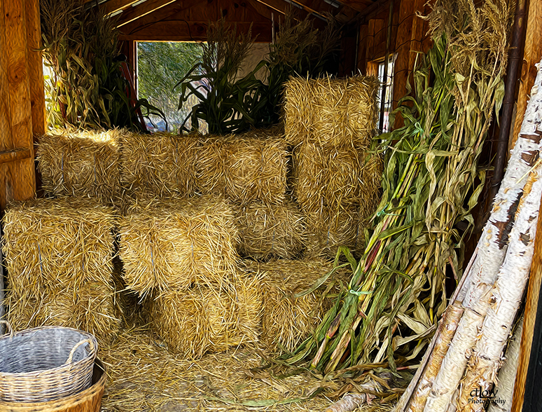 shed hay corn Gemmell's Garden Centre