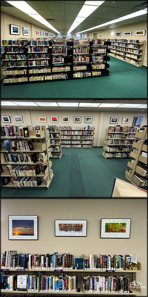 Brockville Library ctLow show exhibition triptych