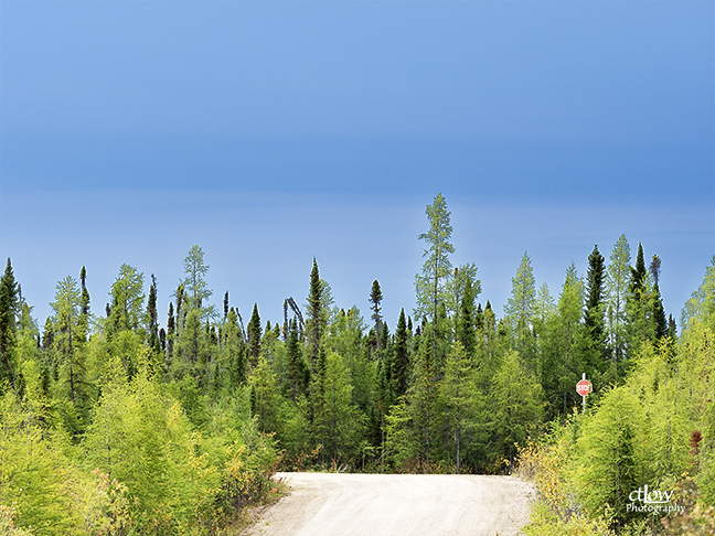 Gravel Roads Forest Northern Manitoba